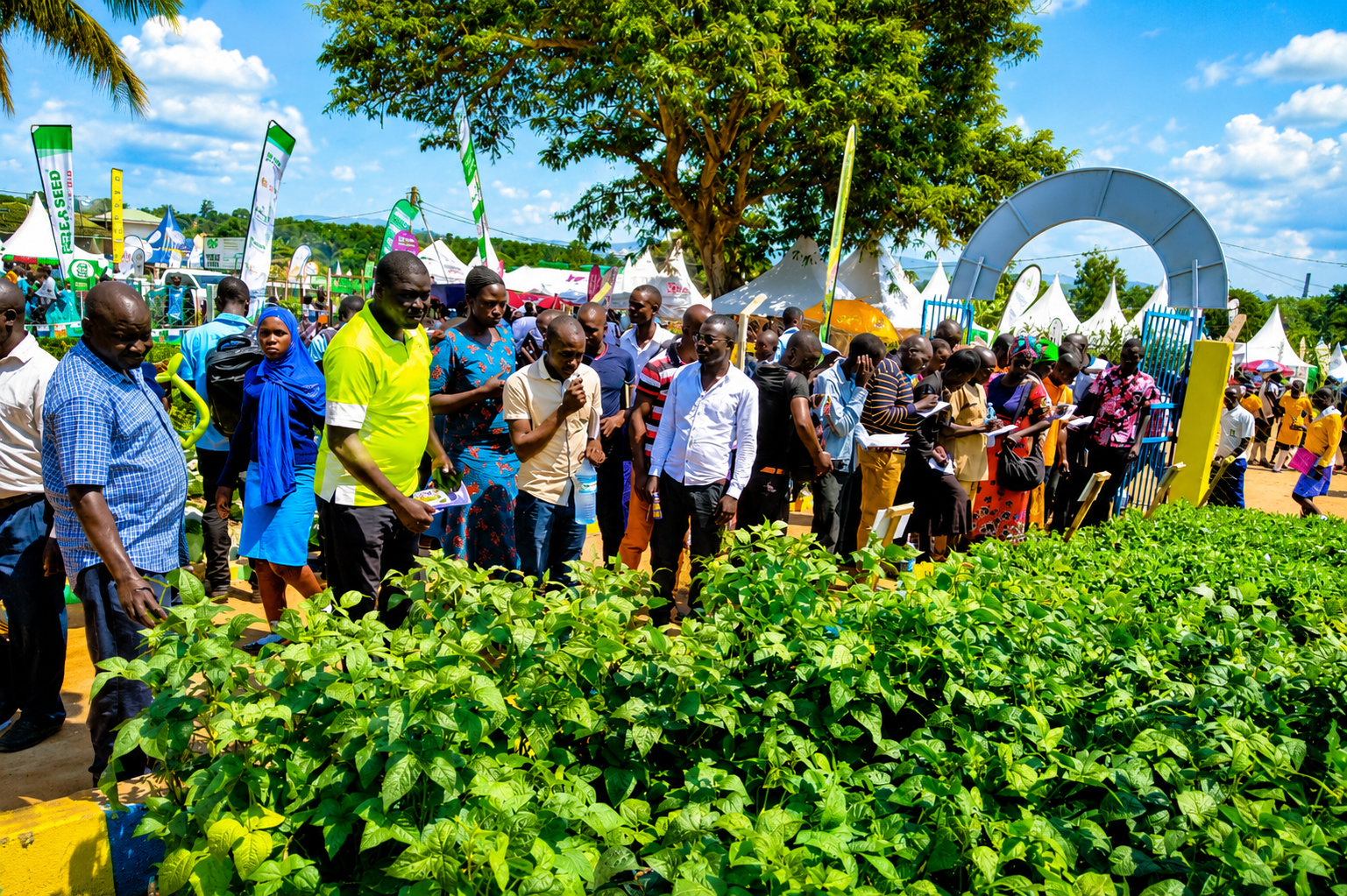 Market connections for farmers